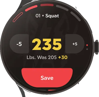 Watch: change weight to 235, was 205